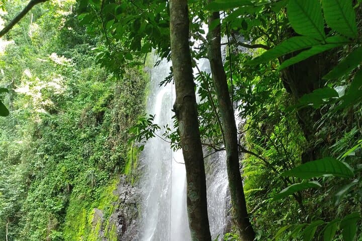 Forest Hike to a Gorgeous Waterfall in Puerto Rico — Creek Crossings & Optional Rappel photo 2