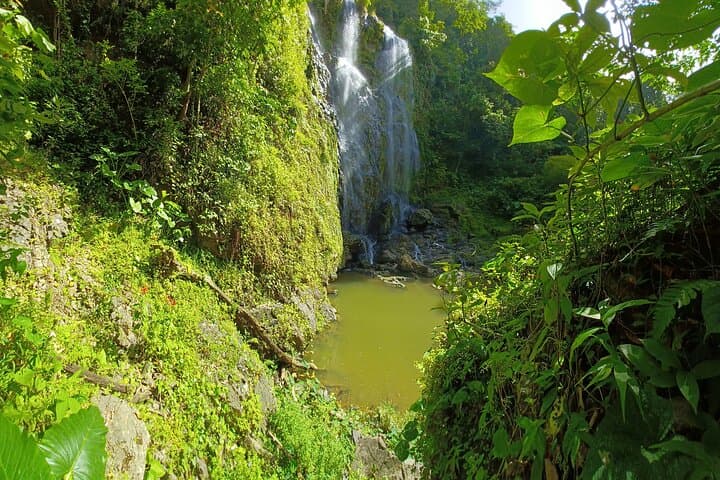 Forest Hike to a Gorgeous Waterfall in Puerto Rico — Creek Crossings & Optional Rappel photo 3
