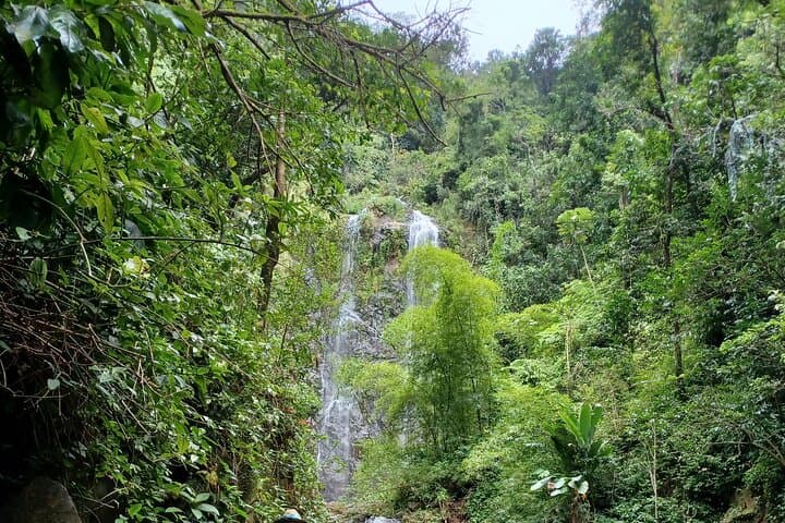 Forest Hike to a Gorgeous Waterfall in Puerto Rico — Creek Crossings & Optional Rappel photo 4