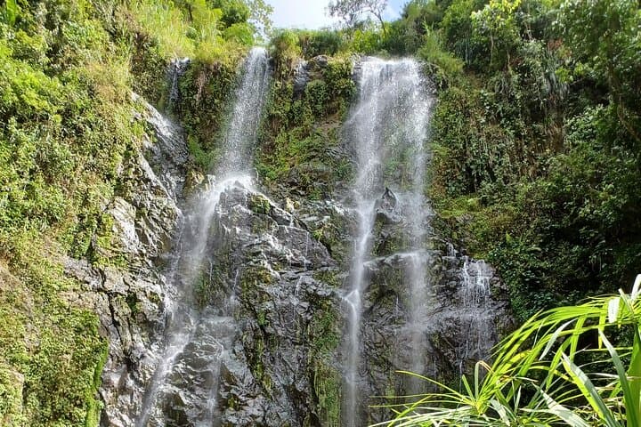 Forest Hike to a Gorgeous Waterfall in Puerto Rico — Creek Crossings & Optional Rappel photo 5