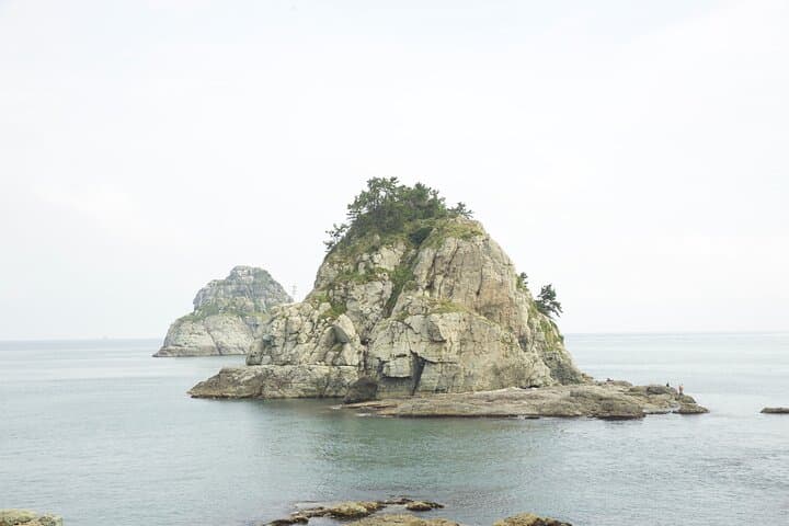 BTS Jimin's Busan Memory Tour: Walk His Childhood Spots photo 3