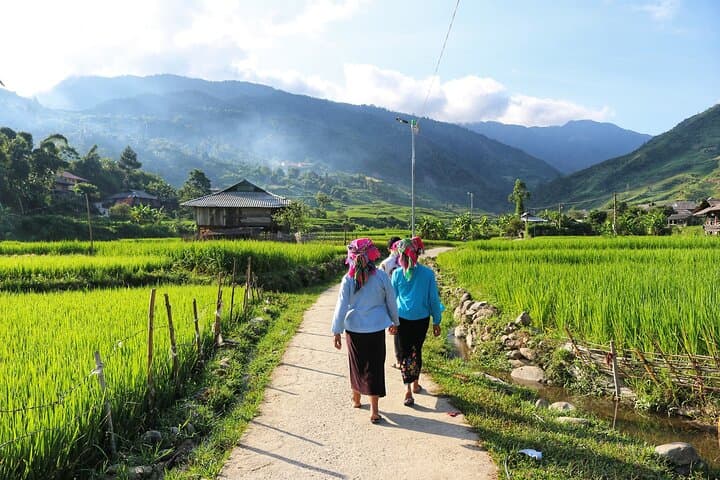 Mu Cang Chai Rice Terraces: 3D2N Trek & Easy Rider from Sa Pa