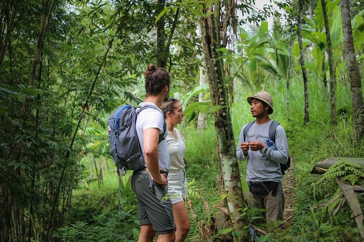 Bali Village Trek from Ubud — Pakerisan River Valley Cultural Walk photo 6