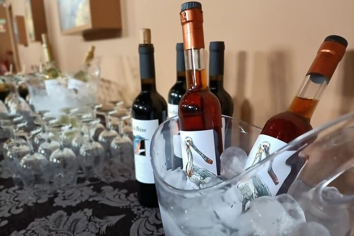 Arrabida and Setubal Peninsula Private Day Tour with Mourisca Tide Mill Wine Tasting photo 4