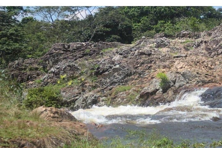 Explore Jinja and the Original Source of the Nile: Sezibwa, Mabira & Boat Ride photo 2