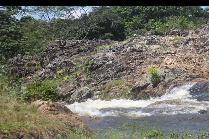 Explore Jinja and the Original Source of the Nile: Sezibwa, Mabira & Boat Ride photo 3