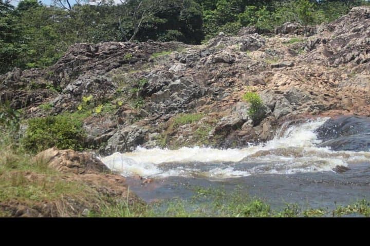 Explore Jinja and the Original Source of the Nile: Sezibwa, Mabira & Boat Ride photo 4