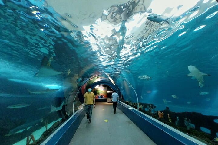 Inside Cebu Ocean Park: Philippines’ Largest Oceanarium Experience photo 2