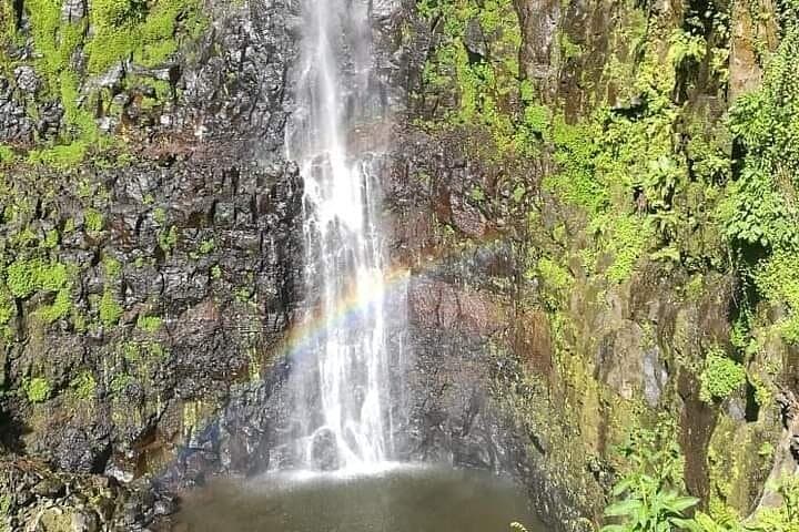 Mbokomu Waterfall & Africa's Tallest Tree: Half-Day Tour from Moshi