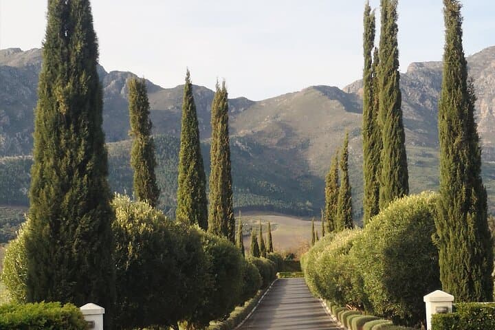 Private Full-Day Winelands Tour to Franschhoek from Cape Town photo 5