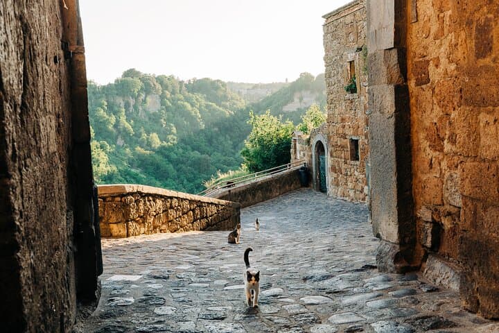 Civita di Bagnoregio & Orvieto Day Trip from Rome: Etruscan Tunnels and Cliff-Top Streets photo 4