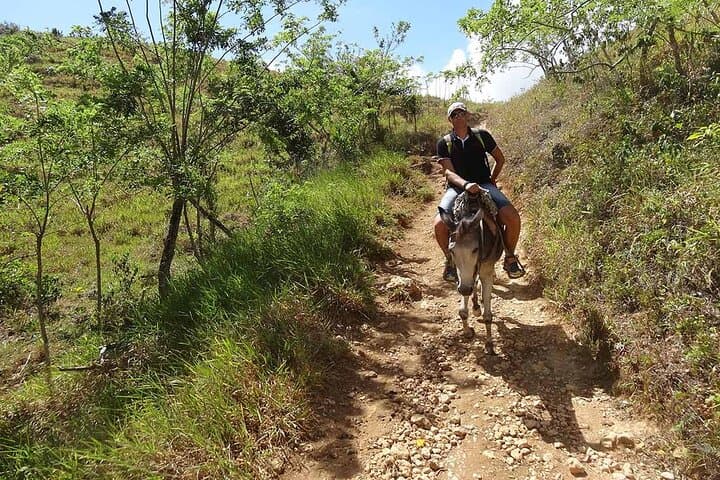 Samaná Full-Day Cultural Adventure: El Limón Waterfall & Cayo Levantado (Bacardí Island) photo 6