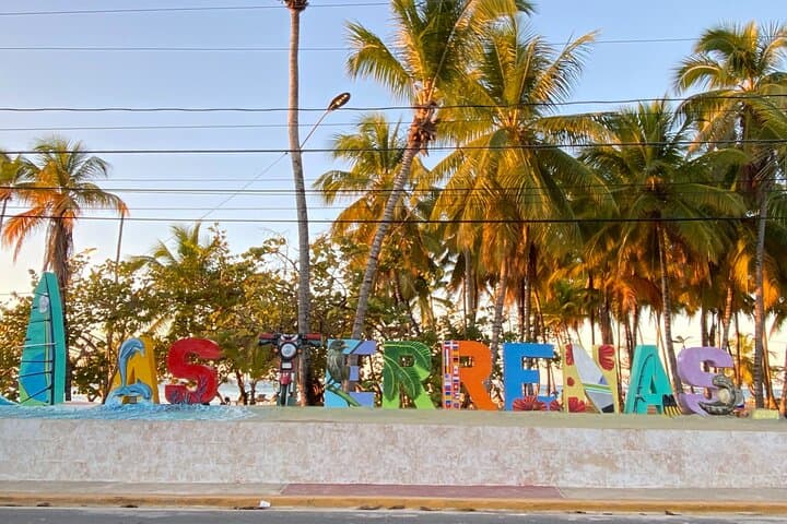 Full-Day Las Terrenas & El Limón Waterfall Tour from Boca Chica (Bacardí Island Swim) photo 4