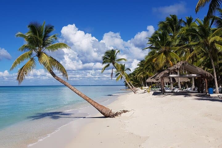 Saona Island Full-Day Speedboat & Catamaran Tour from Las Terrenas photo 2