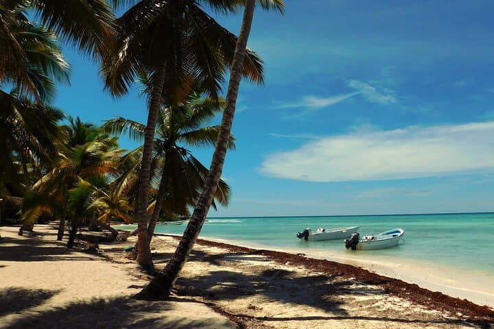 Saona Island Full-Day Speedboat & Catamaran Tour from Las Terrenas photo 4