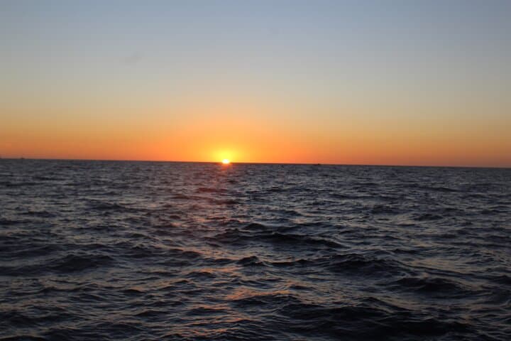Luxury Sunset Catamaran Cruise in Cabo San Lucas photo 4