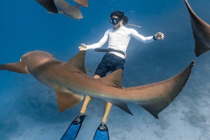 Discover Maafushi: 4-Night Maldives Snorkeling, Island-Hopping & Reef Adventure photo 3