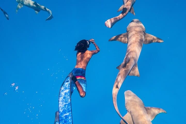 Maafushi Snorkel & Island-Hopping: 4-Night Maldives Adventure photo 3