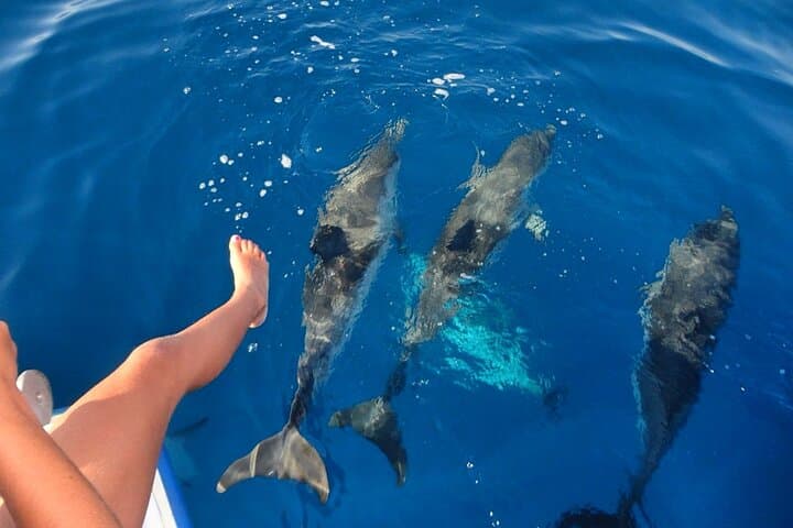 Maafushi Snorkel & Island-Hopping: 4-Night Maldives Adventure photo 5