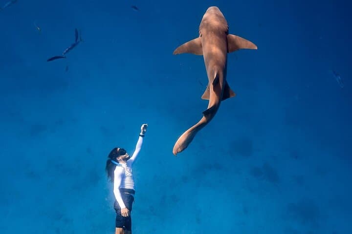 Maafushi Snorkel & Island-Hopping: 4-Night Maldives Adventure photo 2