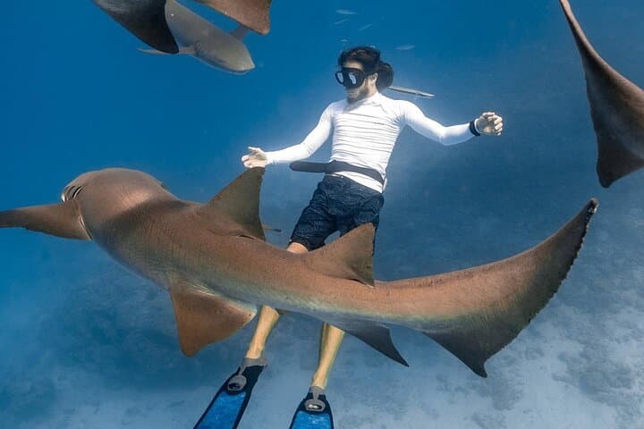Maafushi Snorkel & Island-Hopping: 4-Night Maldives Adventure