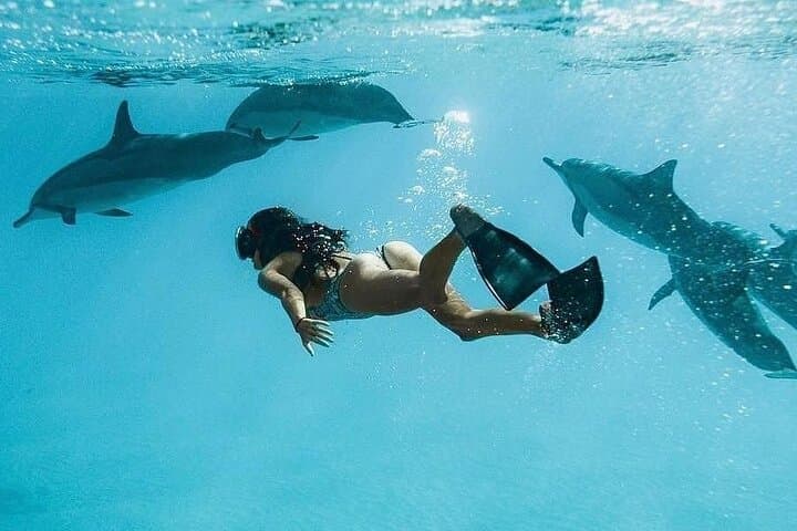 Maafushi Snorkel & Island-Hopping: 4-Night Maldives Adventure photo 6