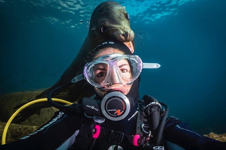 Scuba Diving La Paz: Sea Lions, Turtles, Wrecks and Rocky Reefs photo 1