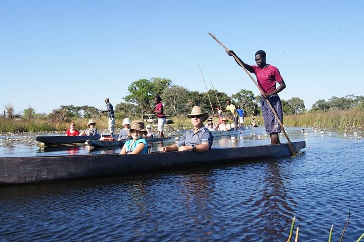 Overnight Mokoro Trail — 2-Night Okavango Delta Camping & Mokoro Safari photo 3