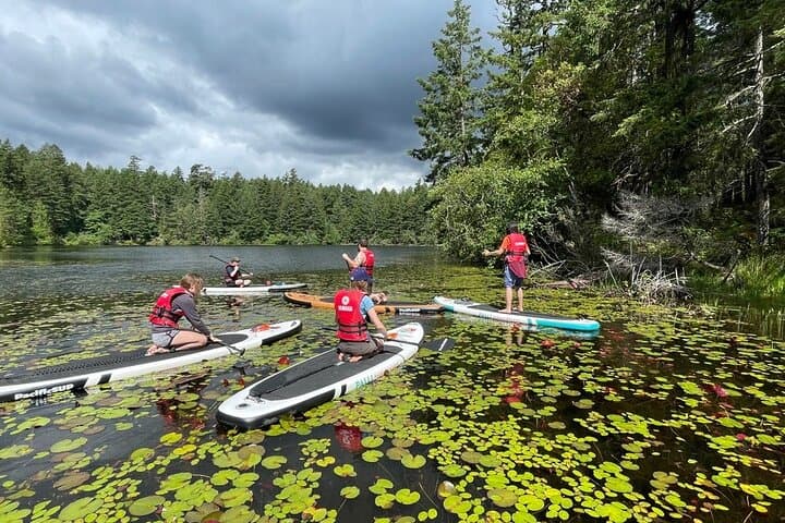 Stand-Up Paddle Boarding on Thetis Lake: A Calm-Water SUP Tour Near Victoria