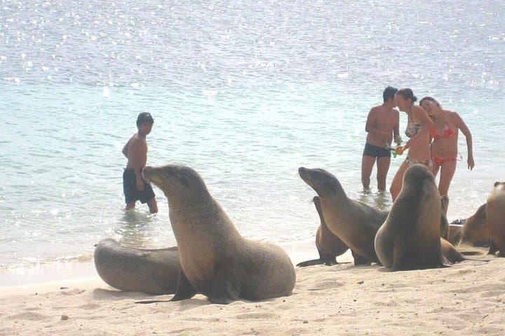 12-Day Ecuador & Galapagos Adventure: Andes Volcanoes, Cuenca Culture and Island Snorkeling photo 1