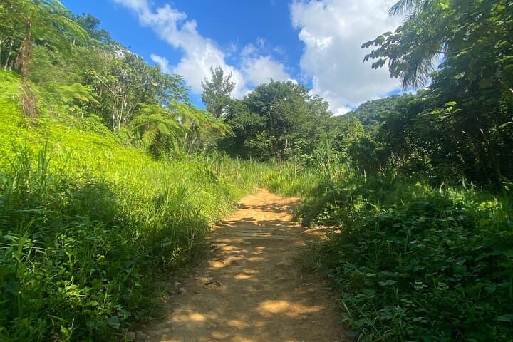 El Yunque Tinajas Natural Pools & Water Slides — Full-Day Adventure from Carolina photo 2