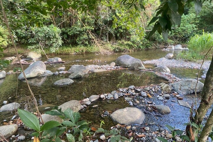 El Yunque Tinajas Natural Pools & Water Slides — Full-Day Adventure from Carolina photo 4