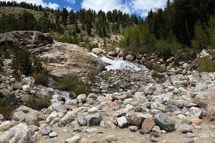Explore Grand Teton, Yellowstone & Colorado Hot Springs: A 6-Day Adventure Tour photo 5