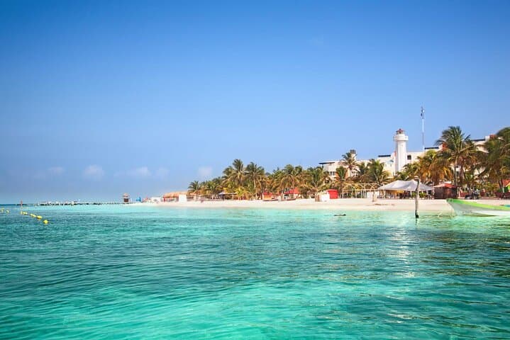 Whale Shark Watching and Snorkeling Near Cancun: Swim With Gentle Giants photo 5