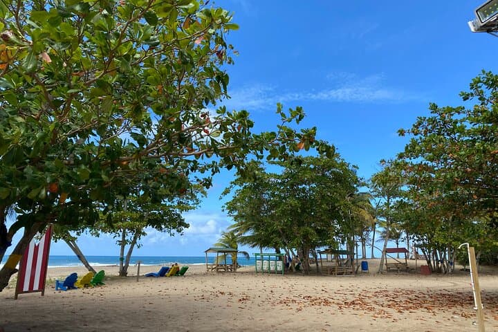 Full-Day Aguadilla Sightseeing Tour: Beaches, Guajataca Tunnel & Snorkeling photo 3