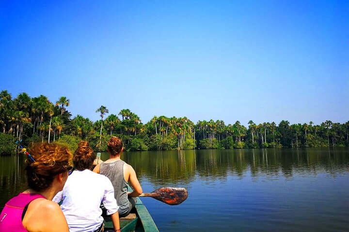 4-Day Tambopata Eco Jungle Adventure in Peru's Amazon Reserve