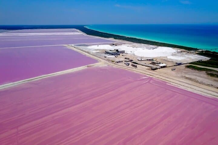 Las Coloradas Pink Lake & Cenote Hubiku Day Tour from Cancun photo 2