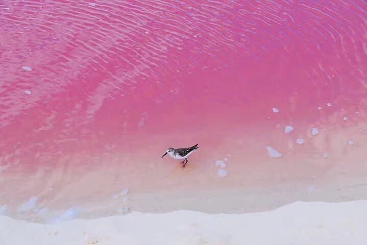 Las Coloradas Pink Lake & Cenote Hubiku Day Tour from Cancun photo 1