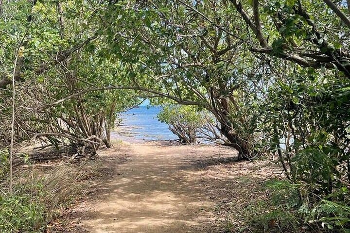 Eastern Puerto Rico Full-Day Tour — El Yunque, Luquillo & Loíza Beaches photo 4