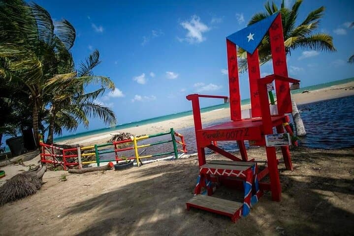 Eastern Puerto Rico Full-Day Tour — El Yunque, Luquillo & Loíza Beaches photo 1
