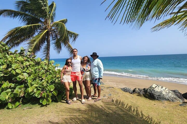 Western Island Full-Day Tour: Beaches, Waterfalls & Caves from San Juan photo 1