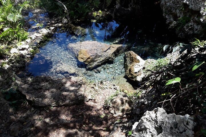 Tortuguero Coastal MTB Ride to a Hidden Spring and Cave photo 5
