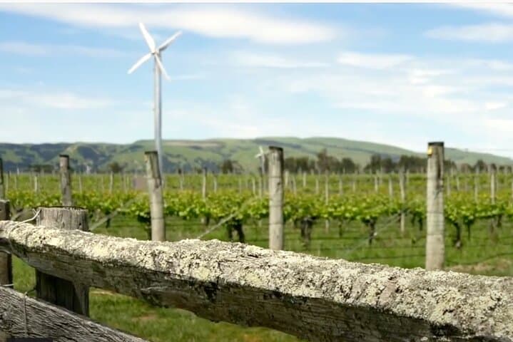Private Electric Martinborough Wine Tour from Wellington in a Tesla Model Y photo 6