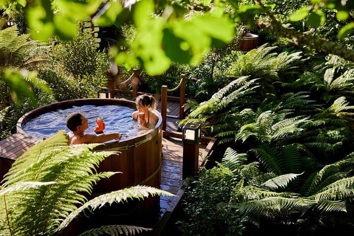 Healing at Rotorua: Private Hot-Spring & Forest Day Tour from Auckland