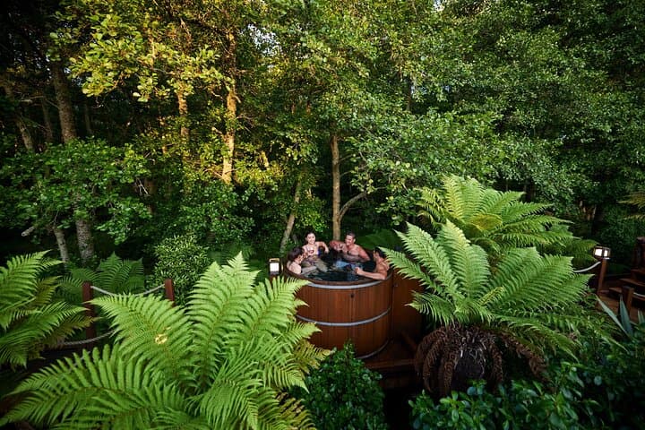 Healing at Rotorua: Private Hot-Spring & Forest Day Tour from Auckland photo 5