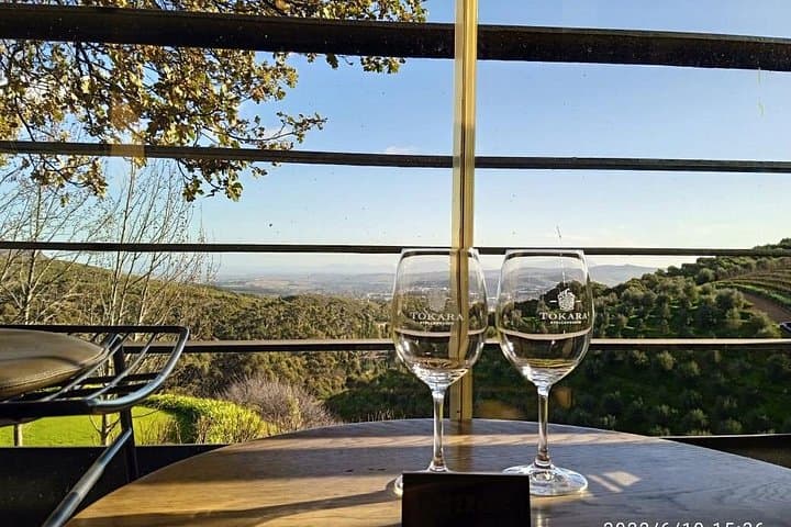 Private Full-Day Stellenbosch Wine Tour from Cape Town: Pinotage & Vineyard Tastings photo 1