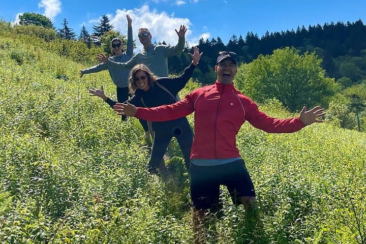 Blue Ridge Mountains Guided Hike from Asheville — Waterfalls, Eagles & Local Trail Expert