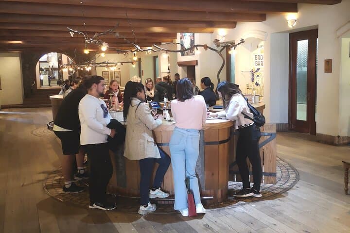 Cape Town Private Full-Day Winelands Tour to Paarl photo 2