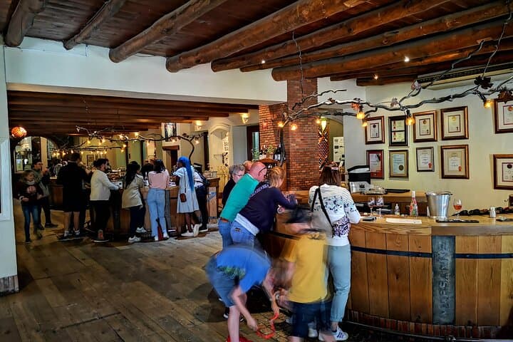 Cape Town Private Full-Day Winelands Tour to Paarl photo 3