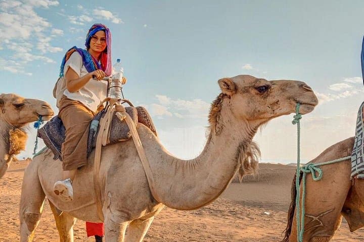 3-Day Budget Desert Tour from Marrakech to Merzouga — Erg Chebbi Camel Trek & Kasbahs photo 1